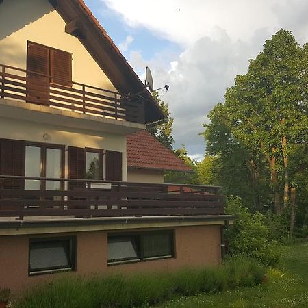 House Tudic Leilighet Drežnik Grad Eksteriør bilde