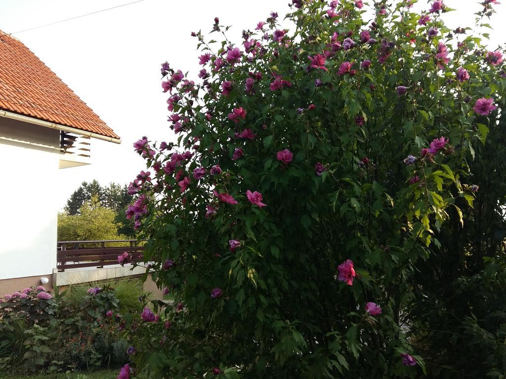 House Tudic Leilighet Drežnik Grad Rom bilde