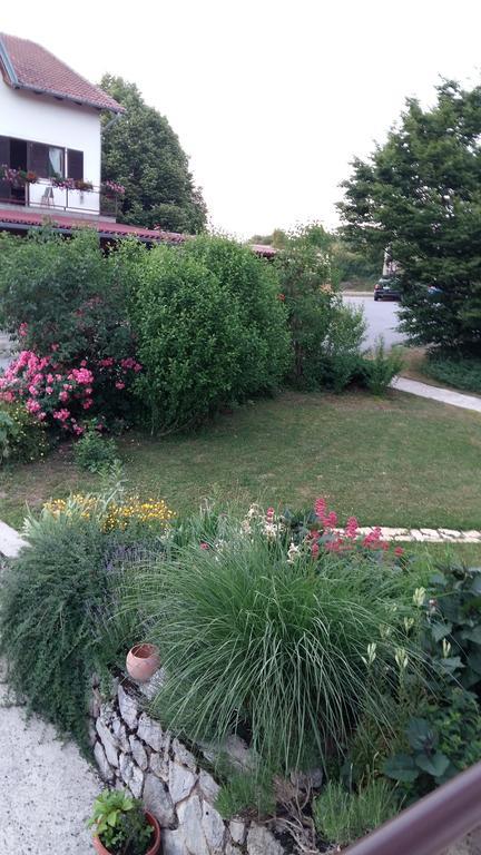 House Tudic Leilighet Drežnik Grad Rom bilde