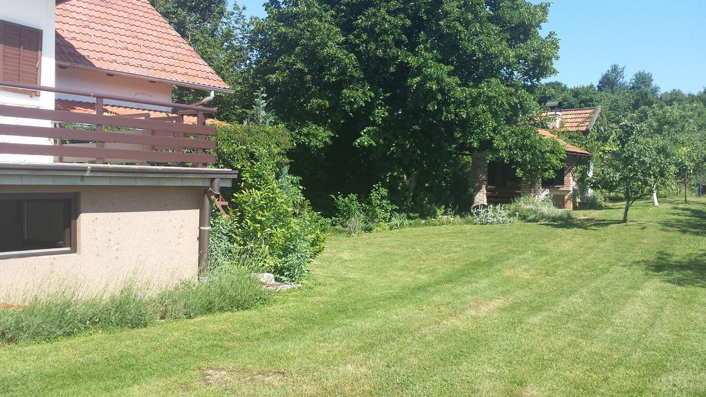 House Tudic Leilighet Drežnik Grad Rom bilde