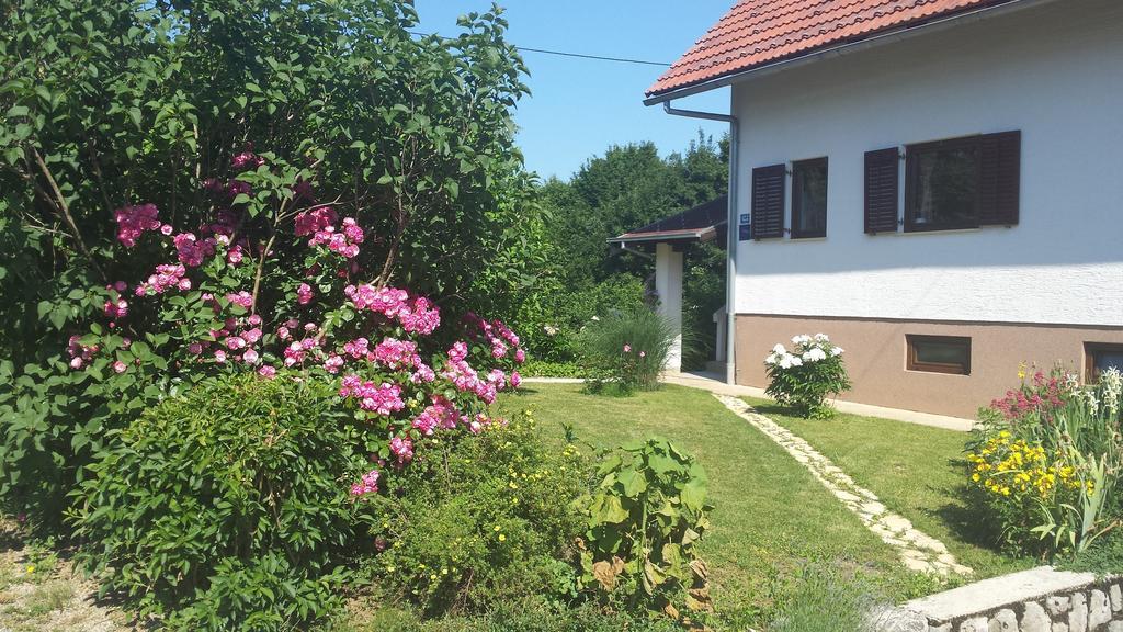 House Tudic Leilighet Drežnik Grad Rom bilde