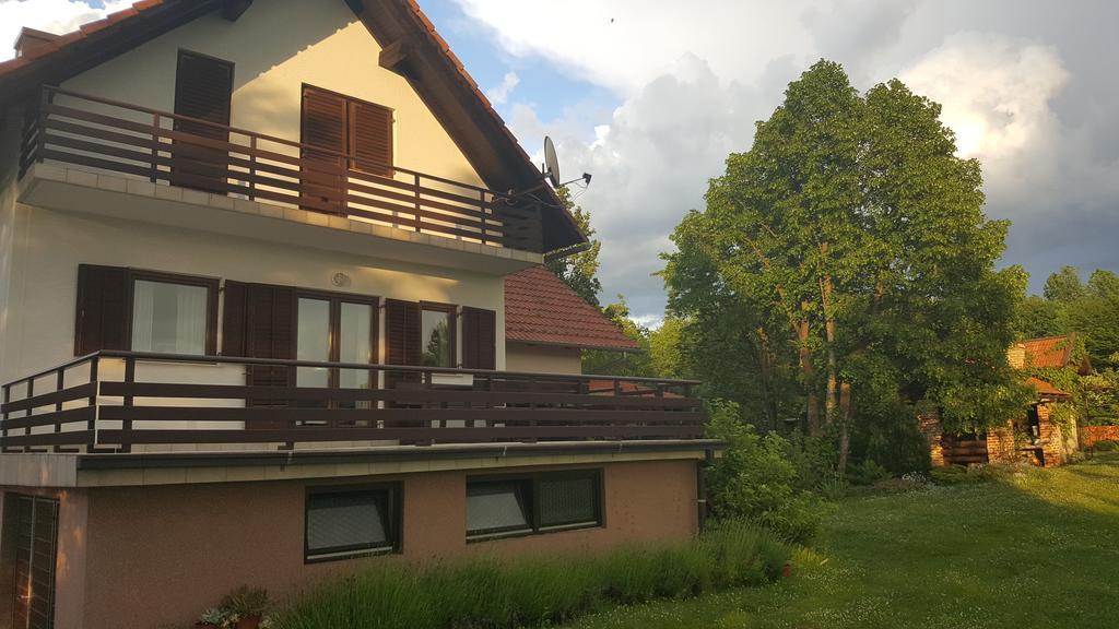 House Tudic Leilighet Drežnik Grad Eksteriør bilde