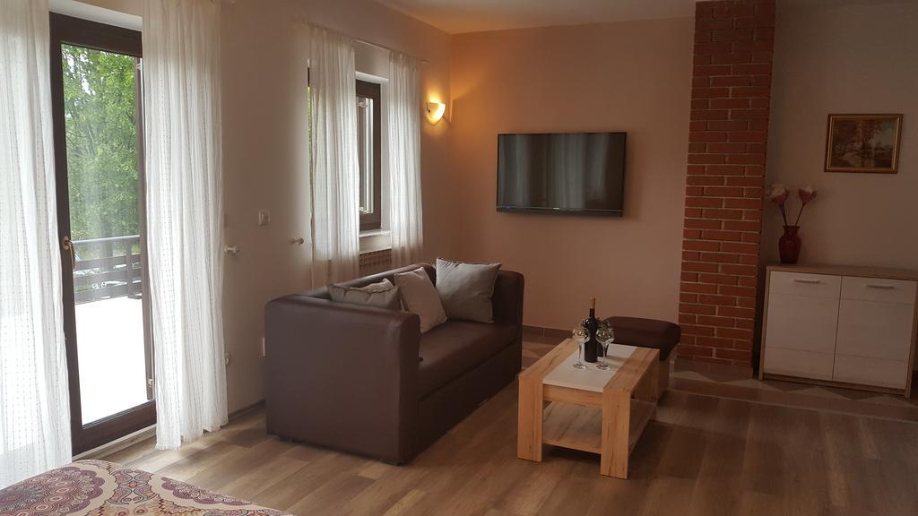 House Tudic Leilighet Drežnik Grad Eksteriør bilde