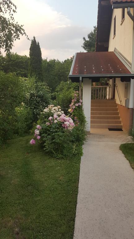 House Tudic Leilighet Drežnik Grad Eksteriør bilde