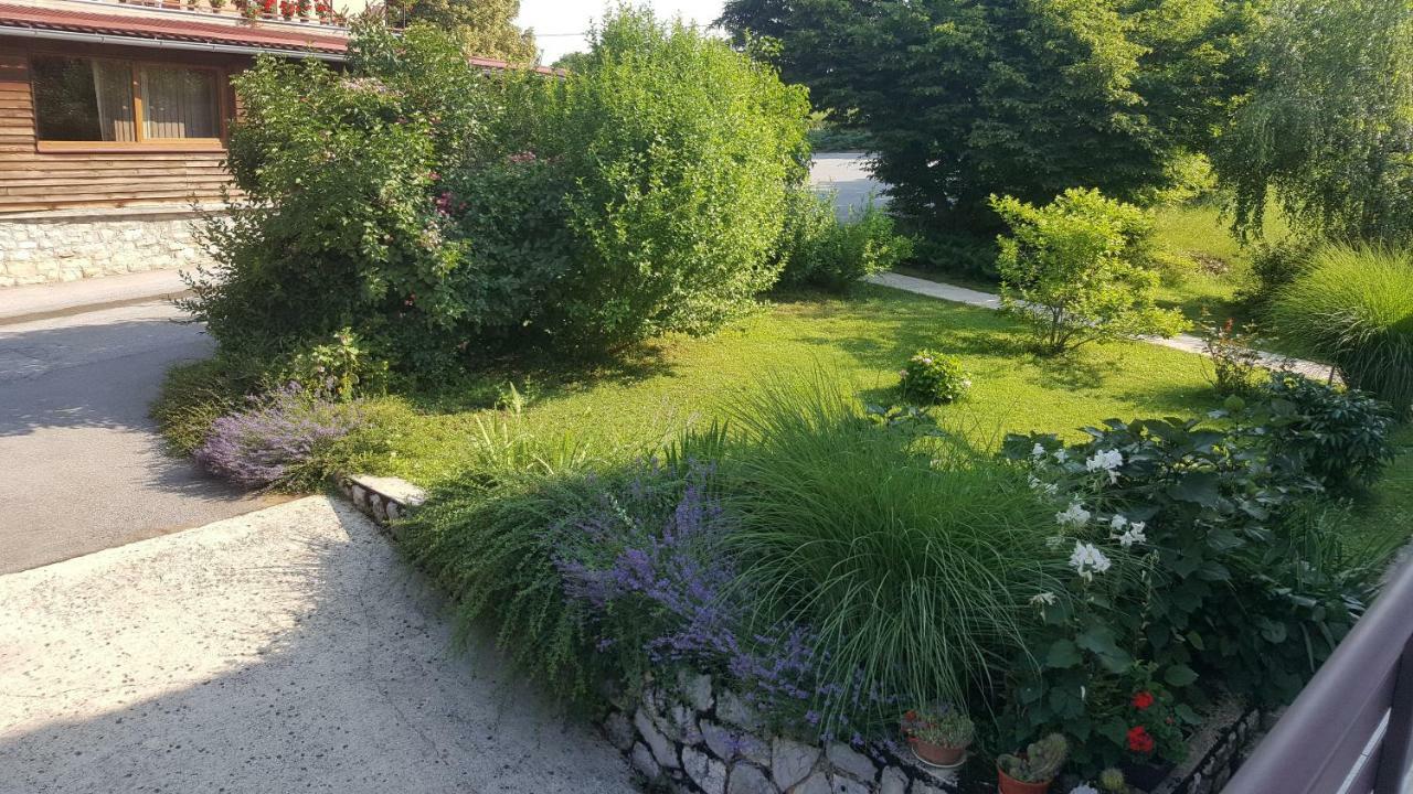 House Tudic Leilighet Drežnik Grad Eksteriør bilde